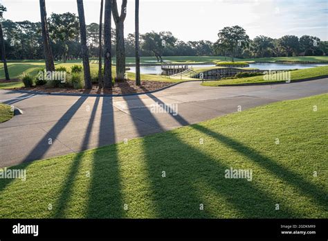 sawgrass sunrise.